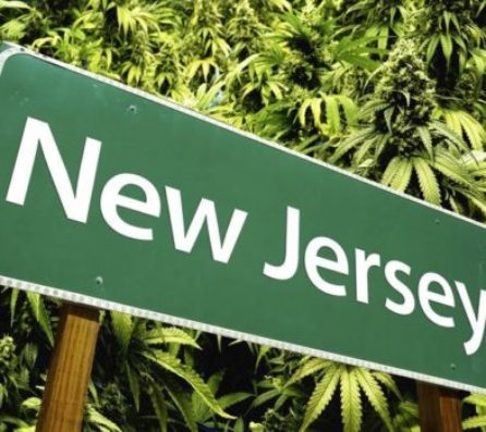 new-jersey-marijuana-560x350